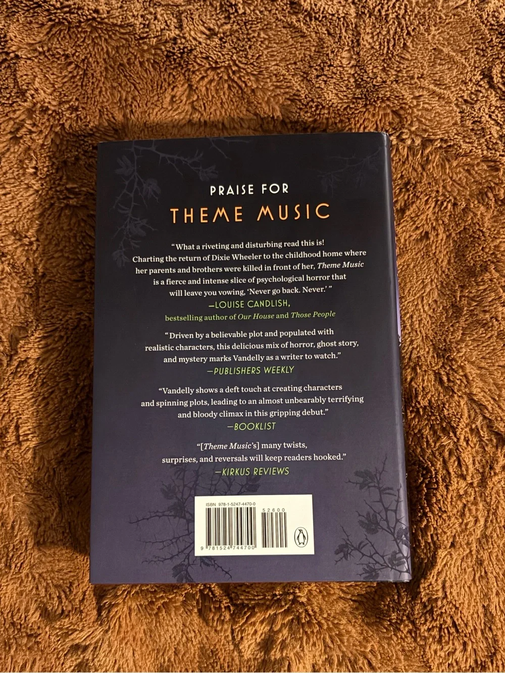 Theme Music by T. Marie Vandelly Hardcover Book